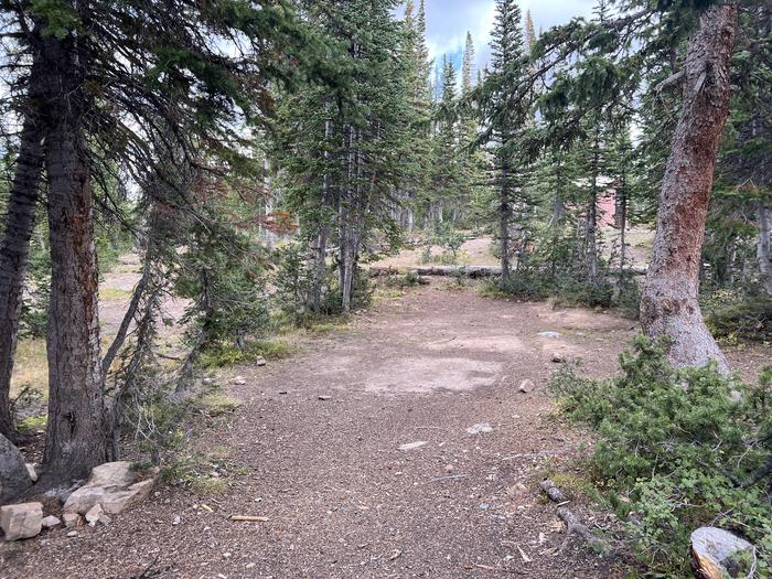 A photo of Site 030 of Loop MOOS at MOOSEHORN with No Amenities Shown