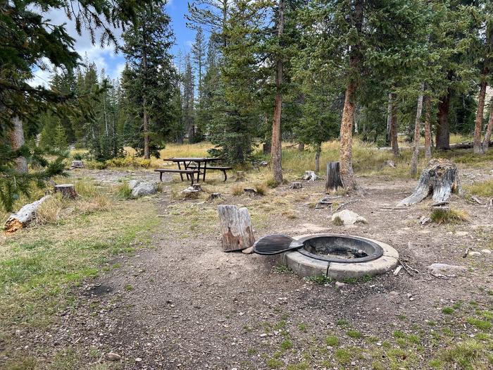 A photo of Site 029 of Loop LOST at LOST CREEK CAMPGROUND with Picnic Table, Fire Pit