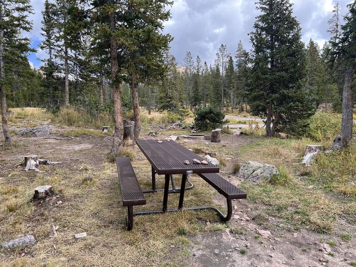 A photo of Site 029 of Loop LOST at LOST CREEK CAMPGROUND with Picnic Table, Fire Pit