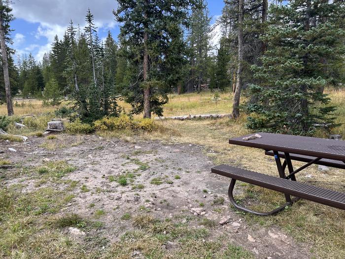 A photo of Site 029 of Loop LOST at LOST CREEK CAMPGROUND with Picnic Table