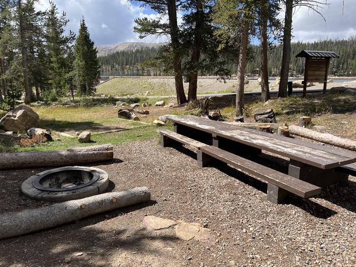 A photo of Site 001 of Loop TRIA at TRIAL LAKE CAMPGROUND with Picnic Table, Fire Pit