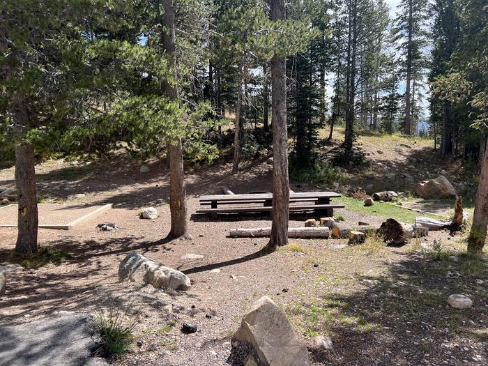 A photo of Site 001 of Loop TRIA at TRIAL LAKE CAMPGROUND with Picnic Table, Tent Pad