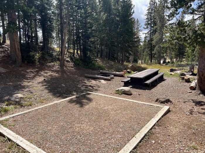 A photo of Site 001 of Loop TRIA at TRIAL LAKE CAMPGROUND with Picnic Table, Fire Pit, Tent Pad