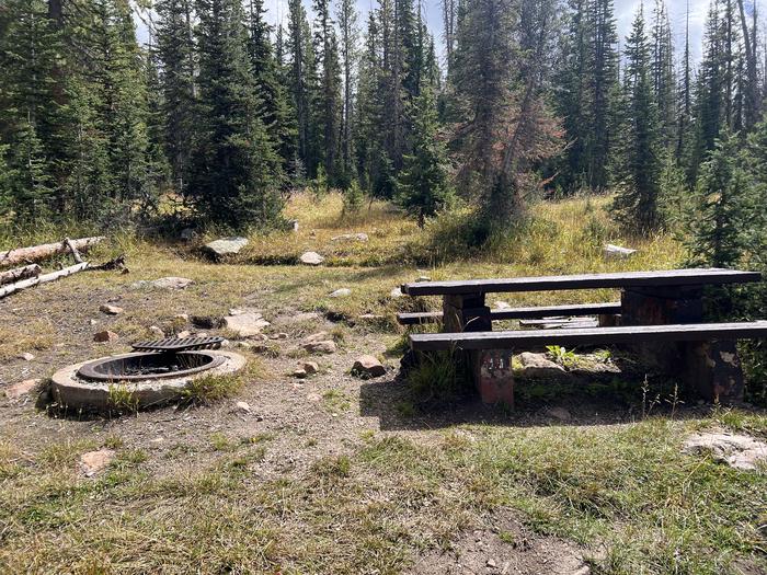 A photo of Site 030 of Loop TRIA at TRIAL LAKE CAMPGROUND with Picnic Table, Fire Pit