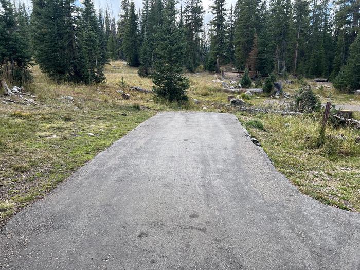 A photo of Site 030 of Loop TRIA at TRIAL LAKE CAMPGROUND with No Amenities Shown