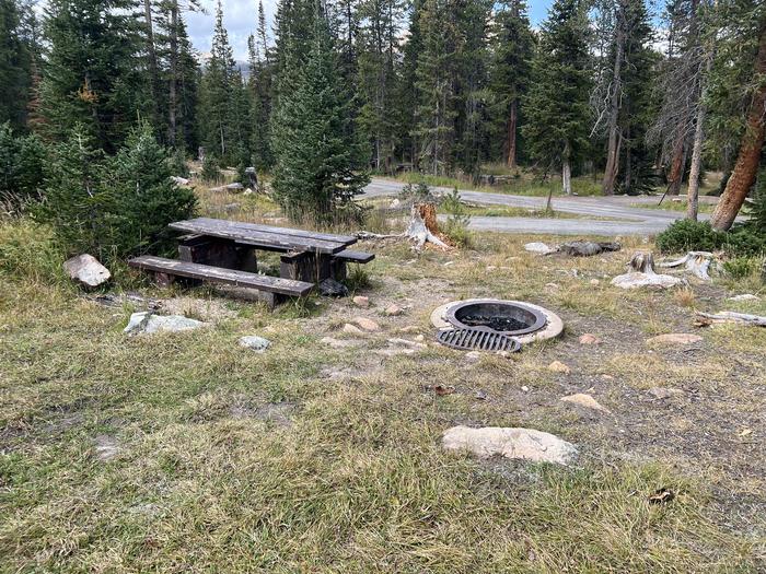 A photo of Site 030 of Loop TRIA at TRIAL LAKE CAMPGROUND with Picnic Table, Fire Pit