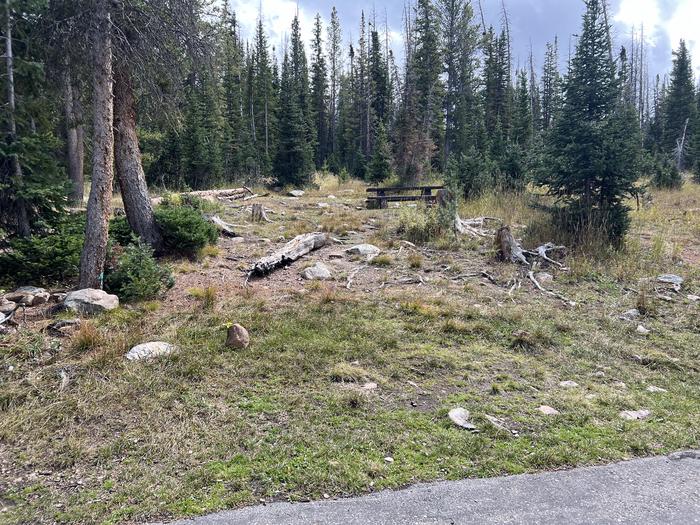 A photo of Site 030 of Loop TRIA at TRIAL LAKE CAMPGROUND with Picnic Table