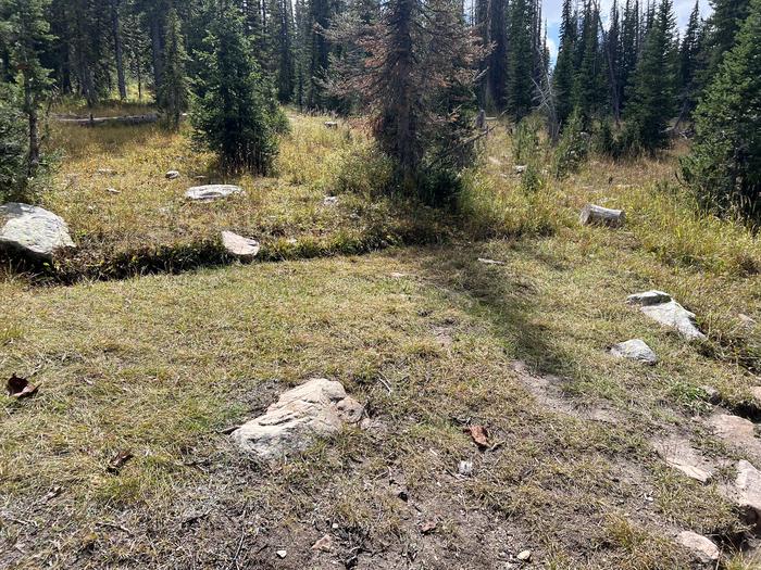 A photo of Site 030 of Loop TRIA at TRIAL LAKE CAMPGROUND with No Amenities Shown