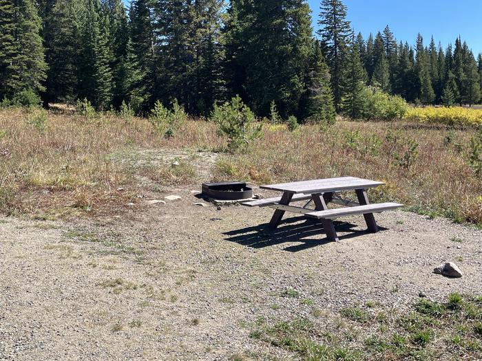 A photo of Site 019 of Loop DUMONT at DUMONT CAMPGROUND with new Picnic Table 