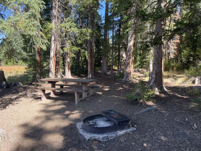 A photo of Site 022 of Loop DUMONT at DUMONT CAMPGROUND with Picnic Table, Fire Pit, Tent Pad