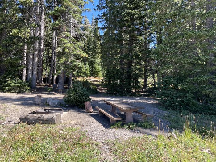 A photo of Site 006 of Loop DUMONT at DUMONT CAMPGROUND with Picnic Table, Fire Pit, Tent Pad