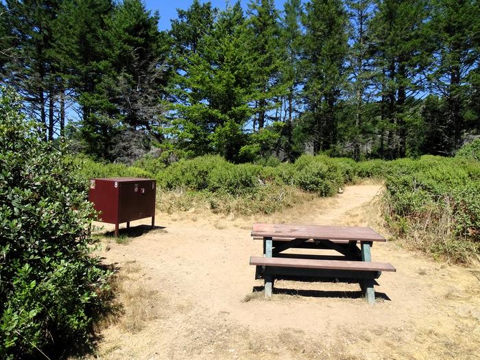 Campsite with picnic table, and food storage locker.Sky 8