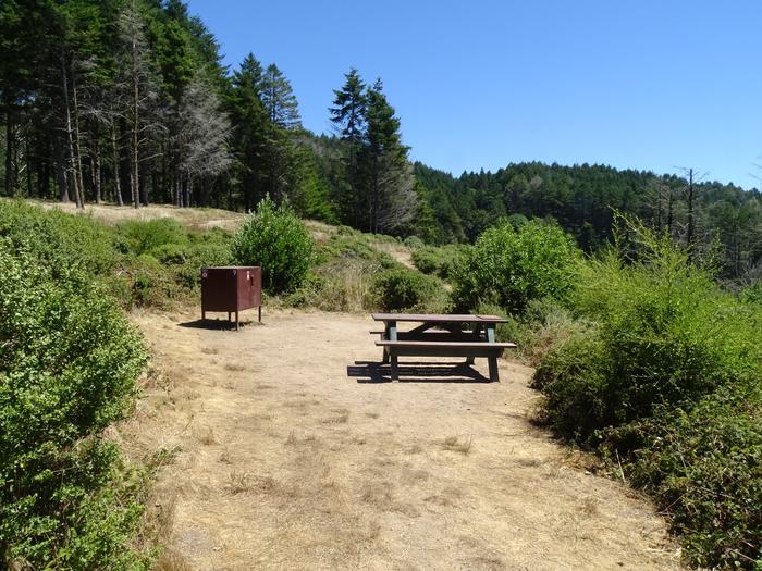 Campsite with picnic table, food storage locker, and charcoal grill.Sky 9