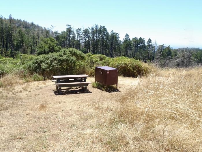 Campsite with picnic table, food storage locker.Sky 1