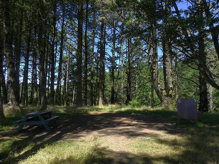 Campsite with picnic table, food storage locker.Sky 5