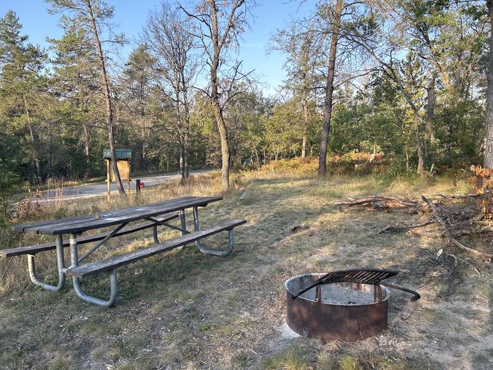 A photo of Site 10 of Loop Lower at Kneff Lake Campground with Picnic Table, Fire Pit, Tent Pad