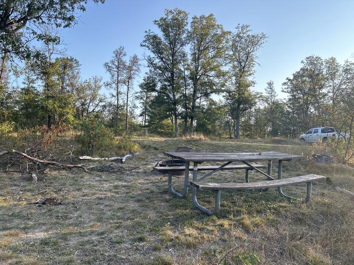 A photo of Site 10 of Loop Lower at Kneff Lake Campground with Picnic Table, Fire Pit