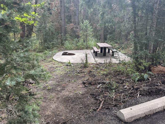 A photo of Site 004 of Loop TINNEY FLAT  at TINNEY FLAT with Picnic Table, Fire Pit, Tent Pad