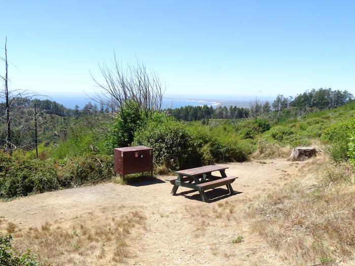 Campsite with picnic table and food storage locker.Sky 3