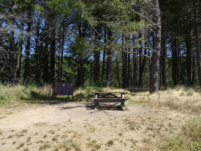 Campsite with picnic table and food storage locker.Sky 6