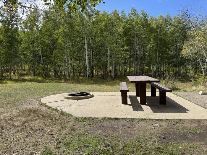 A photo of Site C19 of Loop C at PAYSON LAKES with Picnic Table, Fire Pit, Tent Pad