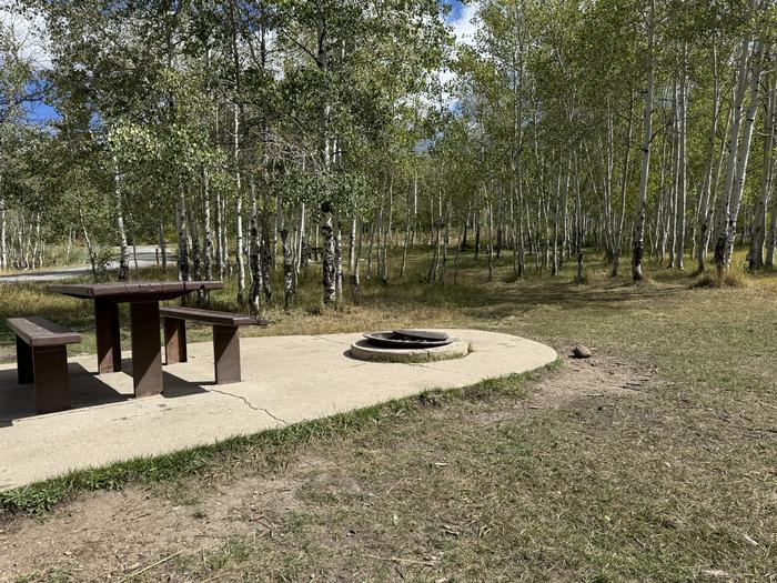 A photo of Site C19 of Loop C at PAYSON LAKES with Picnic Table, Fire Pit, Tent Pad