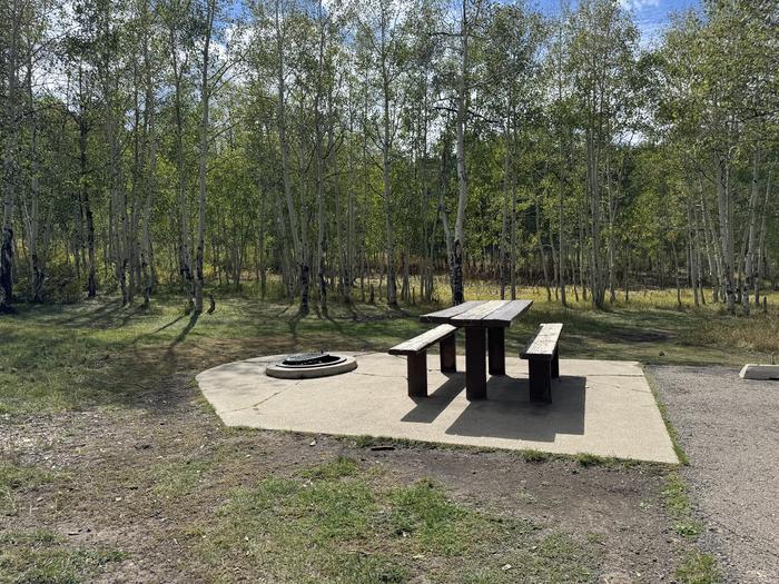 A photo of Site C22 of Loop C at PAYSON LAKES with Picnic Table, Fire Pit, Tent Pad