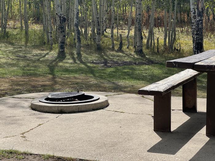 A photo of Site C22 of Loop C at PAYSON LAKES with Picnic Table, Fire Pit, Tent Pad