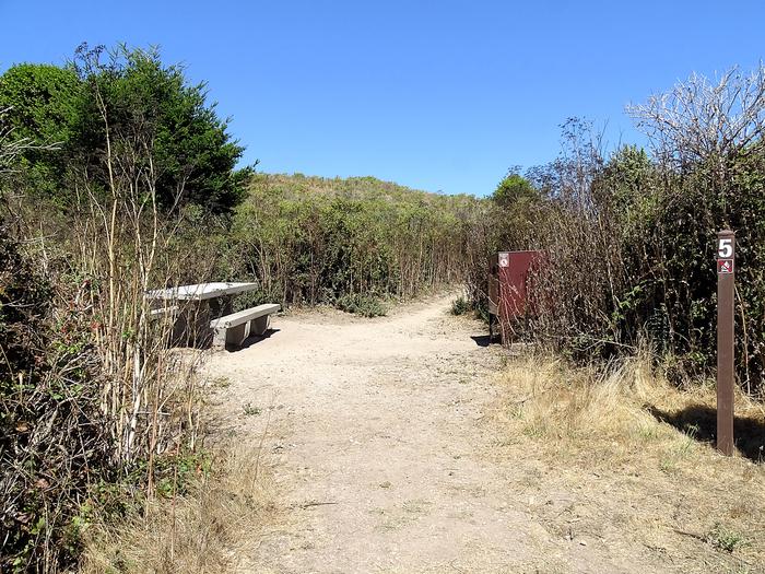 Campsite with picnic table and food storage locker.Coast 5