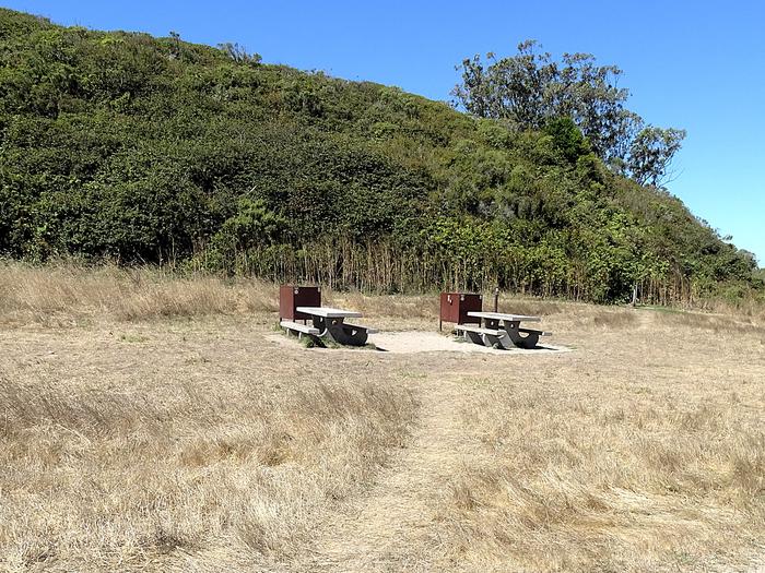 Campsite with picnic table and food storage locker.Coast Group Site 8