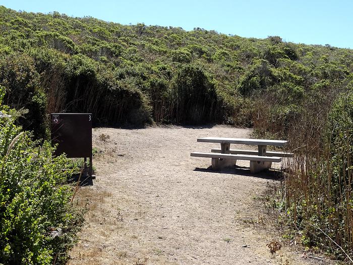 Campsite with picnic table and food storage locker.Coast 3