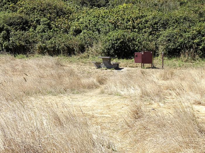 Campsite with picnic table and food storage locker.Coast 9