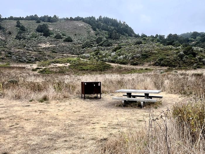 Campsite with picnic table and food storage locker.Wildcat 8