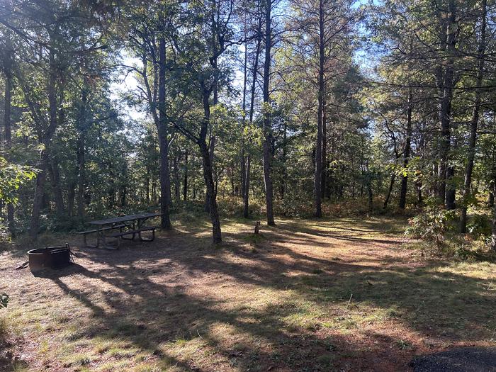 A photo of Site 27 of Loop Upper at Kneff Lake Campground with Picnic Table, Fire Pit