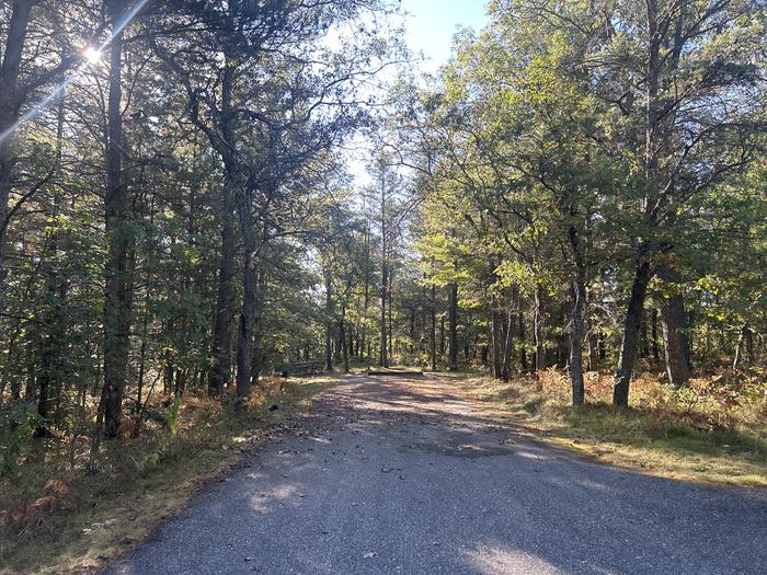 A photo of Site 27 of Loop Upper at Kneff Lake Campground with Picnic Table, Fire Pit