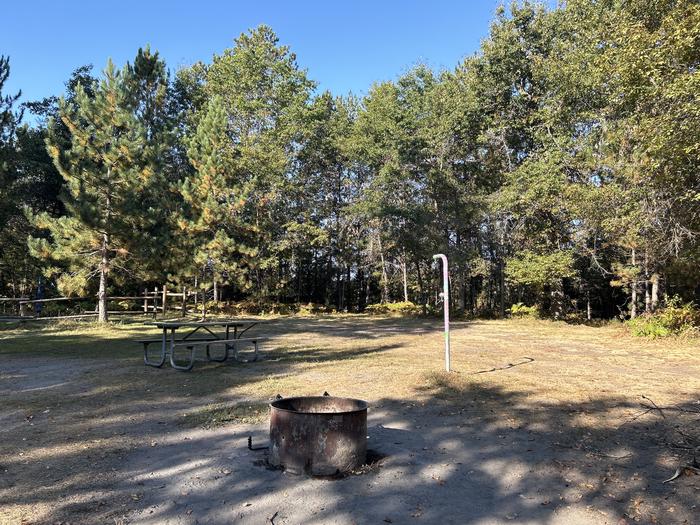 Campfire ring, picnic table, and lantern post at campsite 29