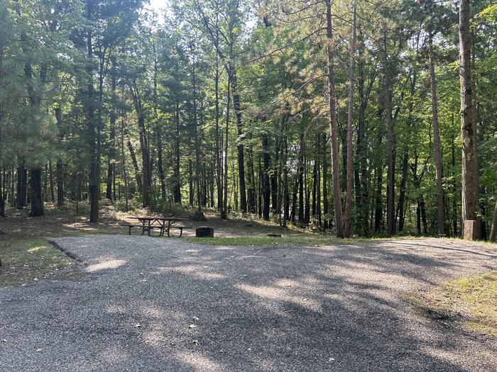 A photo of Site 17 of Loop Island Lake at Island lake (MI) with Picnic Table, Fire Pit