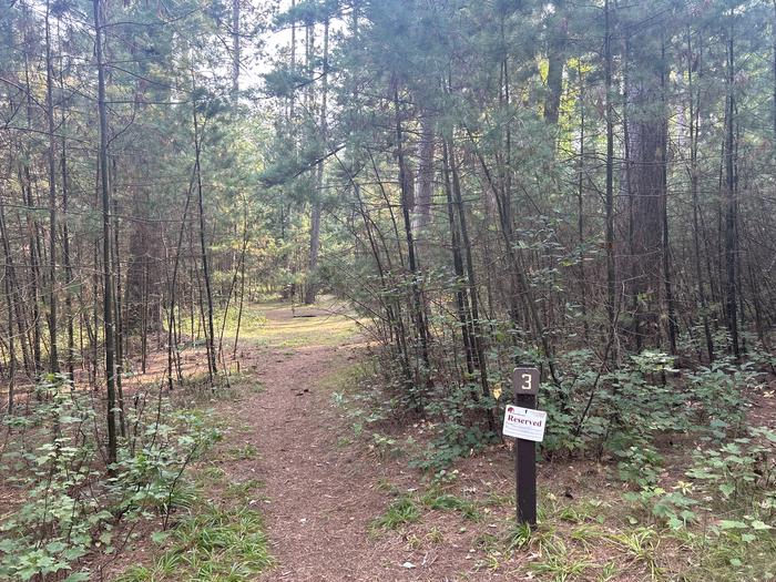 A photo of Site 3 of Loop Hike To at Wakeley Lake Campground with Picnic Table, Fire Pit