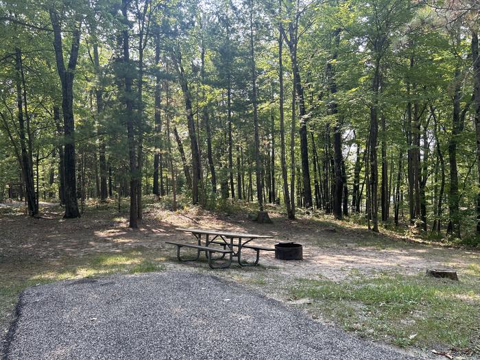 A photo of Site 17 of Loop Island Lake at Island lake (MI) with Picnic Table, Fire Pit