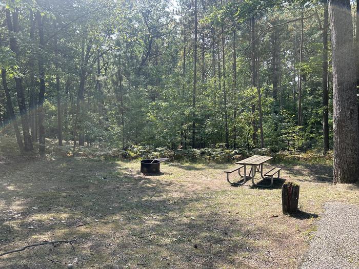 A photo of Site 9 of Loop Island Lake at Island lake (MI) with Picnic Table, Fire Pit