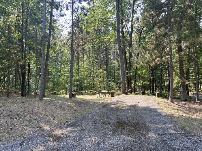 A photo of Site 9 of Loop Island Lake at Island lake (MI) with Picnic Table, Fire Pit