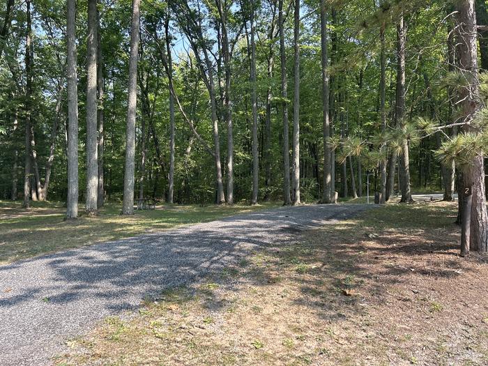 A photo of Site 2 of Loop Island Lake at Island lake (MI) with Picnic Table, Fire Pit, Lantern Pole