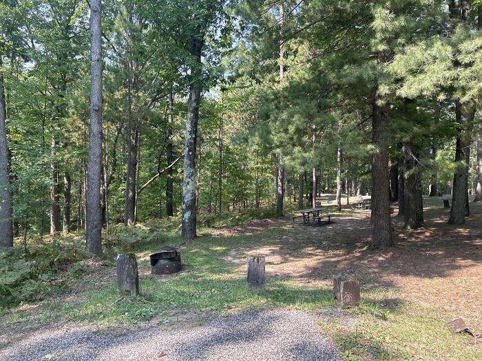 A photo of Site 13 of Loop Island Lake at Island lake (MI) with Picnic Table, Fire Pit