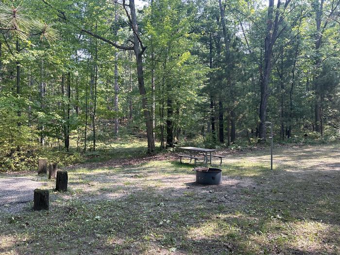 A photo of Site 6 of Loop Island Lake at Island lake (MI) with Picnic Table, Fire Pit, Lantern Pole