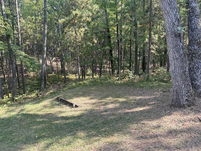 A photo of Site 10 of Loop Island Lake at Island lake (MI) with Tent Pad