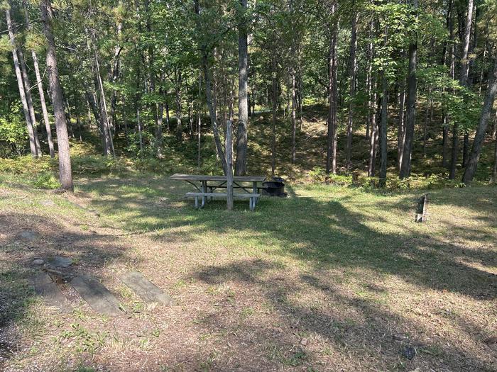 A photo of Site 10 of Loop Island Lake at Island lake (MI) with Picnic Table, Fire Pit