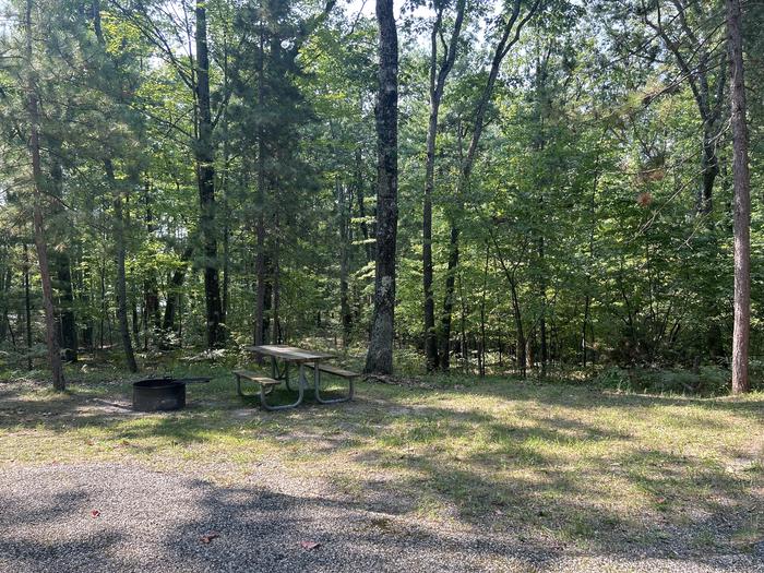 A photo of Site 15 of Loop Island Lake at Island lake (MI) with Picnic Table, Fire Pit