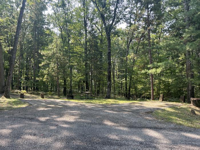 A photo of Site 15 of Loop Island Lake at Island lake (MI) with Picnic Table, Fire Pit