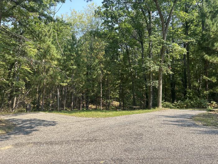 A photo of Site 12 of Loop Island Lake at Island lake (MI) with Picnic Table, Fire Pit