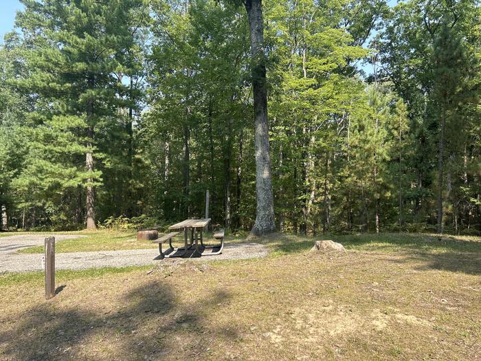 A photo of Site 14 of Loop Island Lake at Island lake (MI) with Picnic Table, Fire Pit